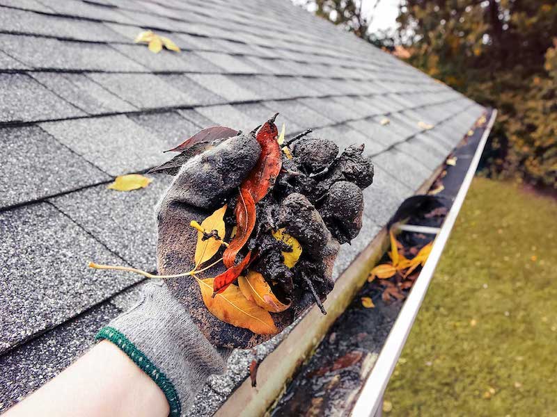 Gutter Cleaning Service in Vancouver