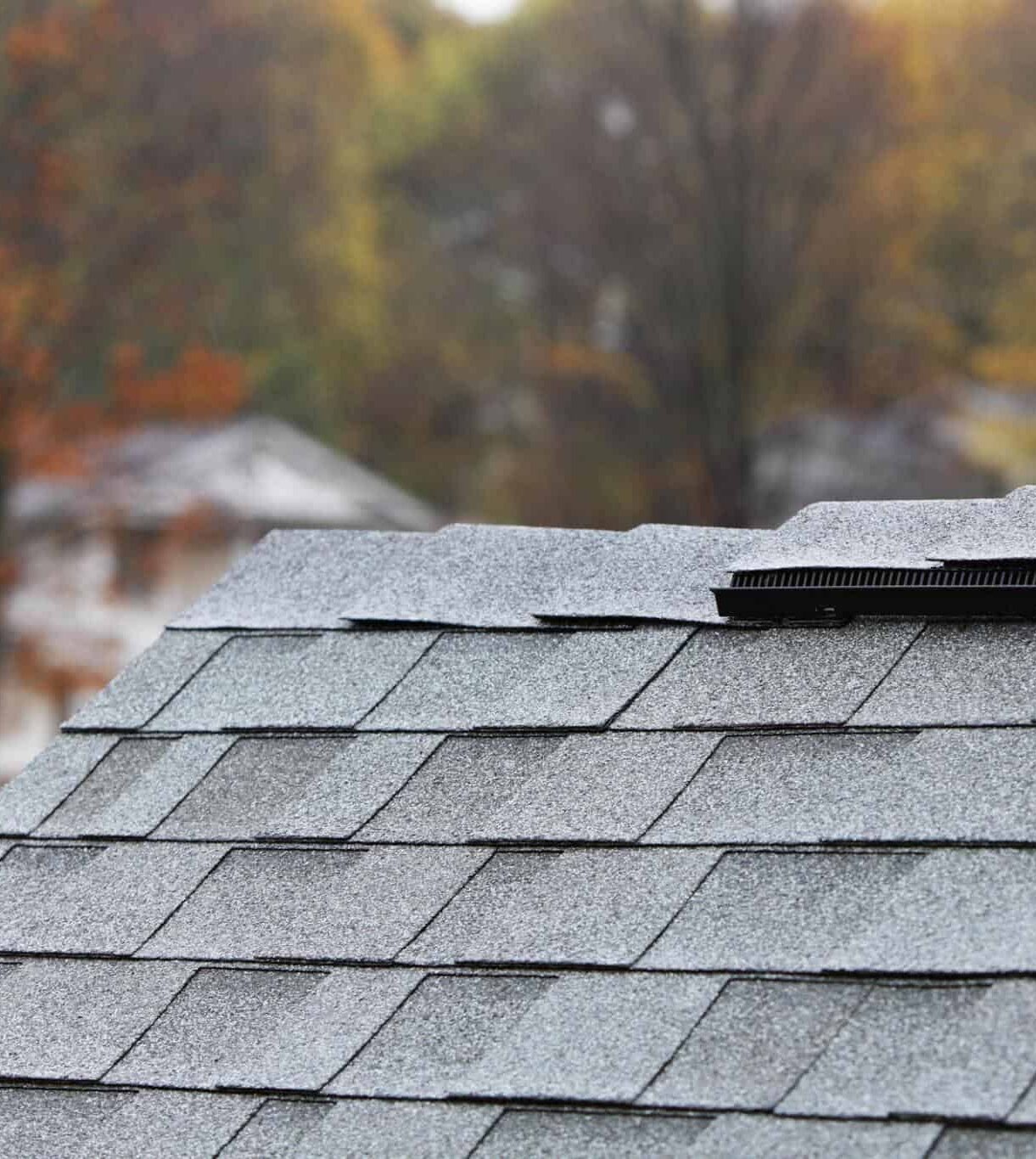 Asphalt Shingles Roofing Services