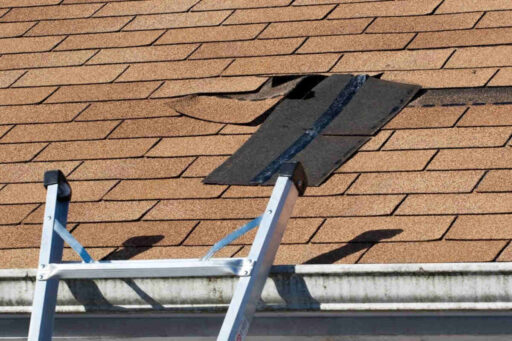 Professional Roof Inspection