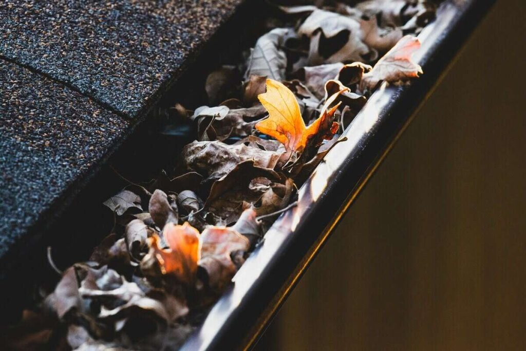 How to Clean Gutters From the Ground