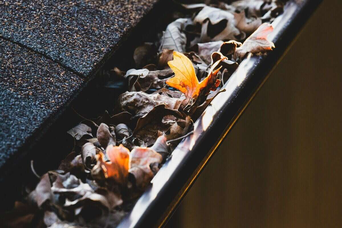 How to Clean Gutters From the Ground