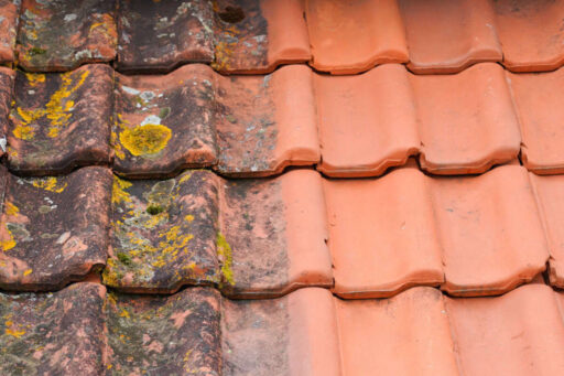 moss on roof tiles 