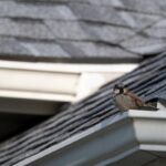 How Many Layers of Asphalt Shingles Are Allowed