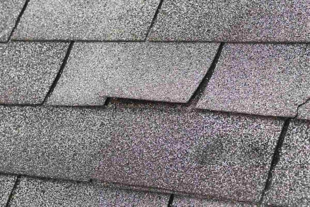 curling shingles