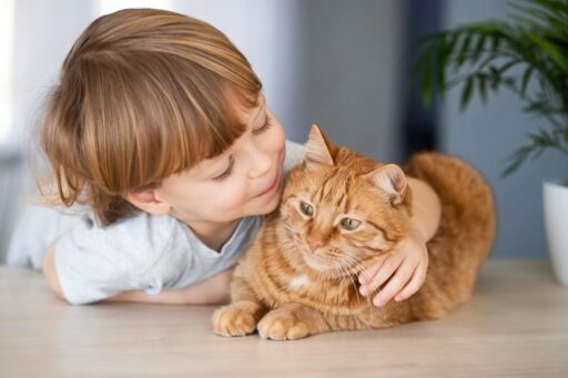 Pets and child safety