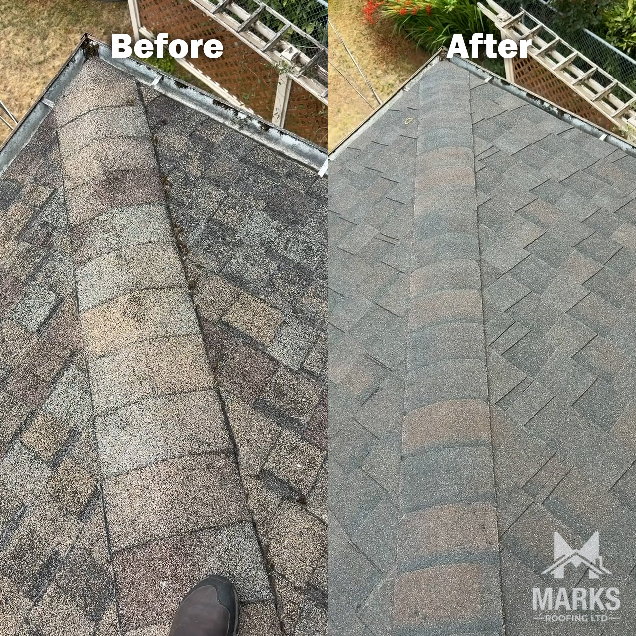 asphalt shingle roof replacement in West Vancouver before and after photo